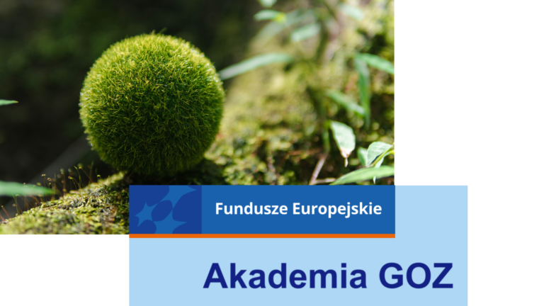 Polecamy webinar „Jak budować klimatyczną, energetyczną i informacyjną odporność firmy”